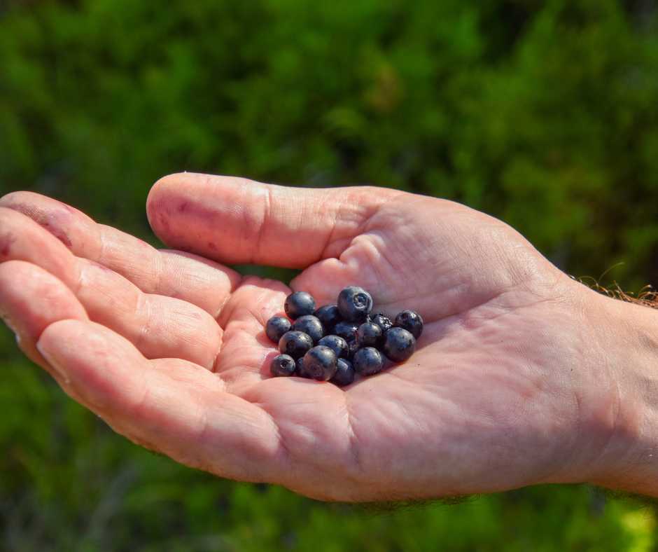 Jóga víkend Malá Úpa 2 yoga v prirode