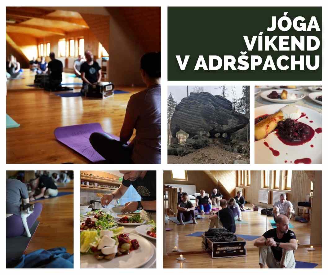 seminar ajurvédský detox unor 2026